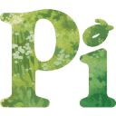 شعار Pi